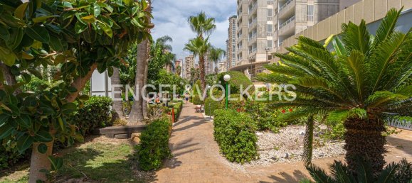 3 غرف نوم بانتهاوس في Benidorm, Spain رقم 178447 18