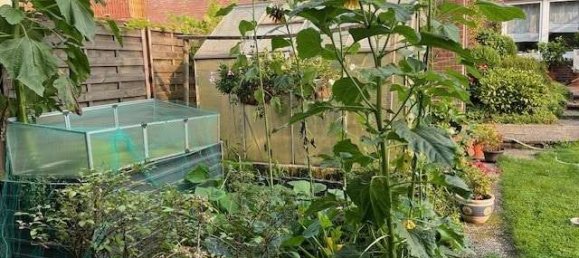 3-Zimmer Haus in Recklinghausen, Germany, Nr. 167726 9