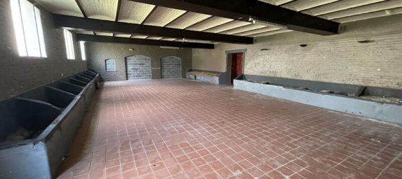 2 غرف نوم قطعة أرض في Lambres-lez-Douai, France رقم 89613 4