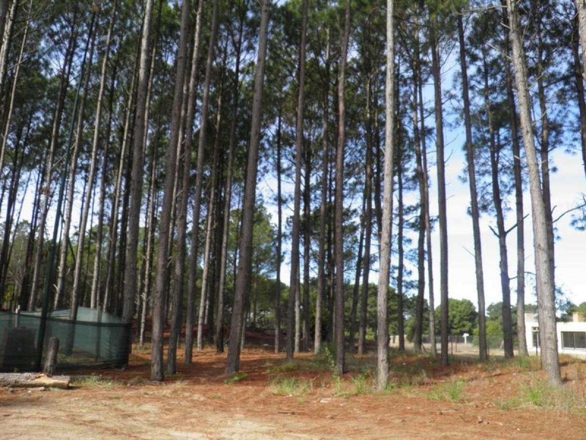  Land in Mar del Plata, Argentina No. 111084