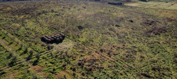 Земельный участок в Монтальто ди Кастро, Италия № 46822 11