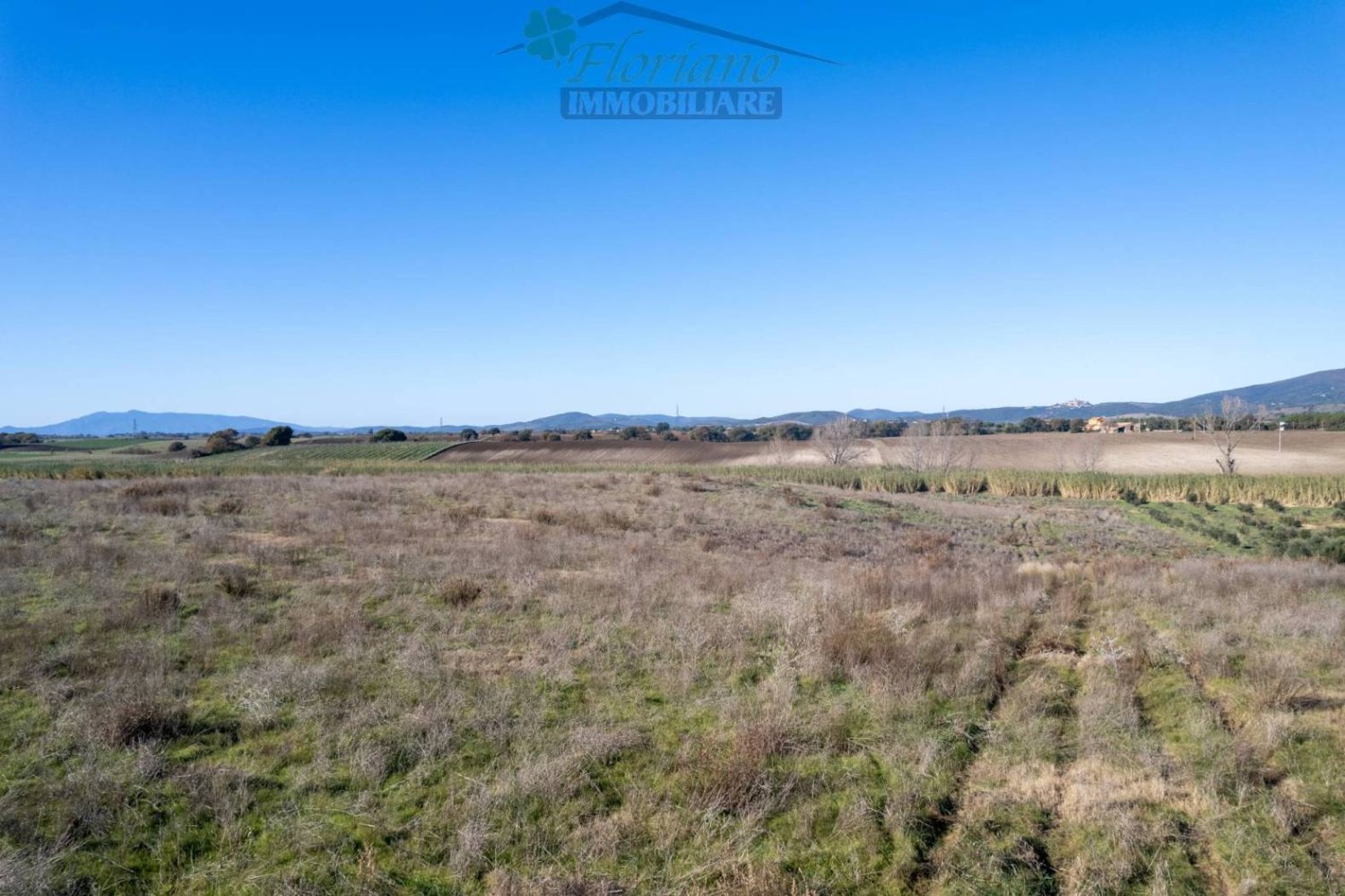 Земельный участок в Монтальто ди Кастро, Италия № 46822