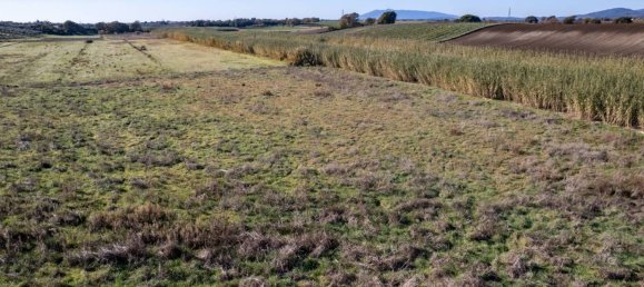 Земельный участок в Монтальто ди Кастро, Италия № 46822 9