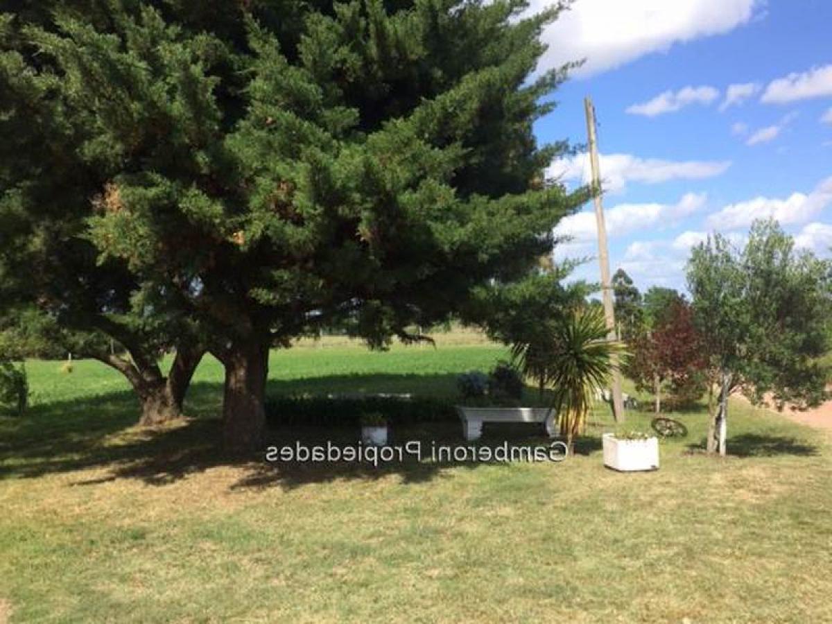 3 bedrooms House in Canelones, Uruguay No. 5157