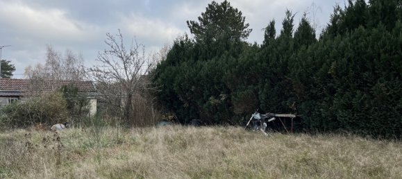 2 Schlafzimmer Haus in Saint-Florent, France, Nr. 85594 13