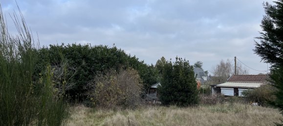 2 Schlafzimmer Haus in Saint-Florent, France, Nr. 85594 3