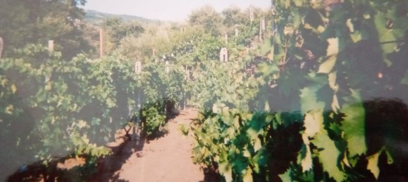 Terreno em Piedimonte Etneo, Italy 1250 m² N.º 273702 6