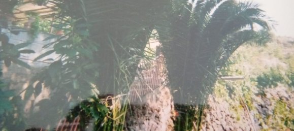 Terreno em Piedimonte Etneo, Italy 1250 m² N.º 273702 4