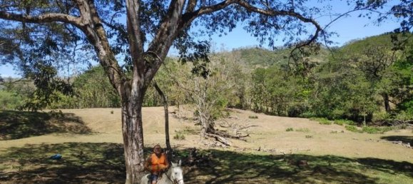 Grundstück in Puntarenas, Costa Rica, Nr. 1534 6
