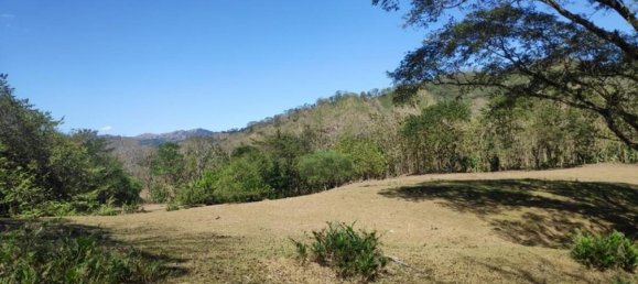 Grundstück in Puntarenas, Costa Rica, Nr. 1534 2