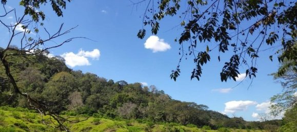 Grundstück in Puntarenas, Costa Rica, Nr. 1534 5