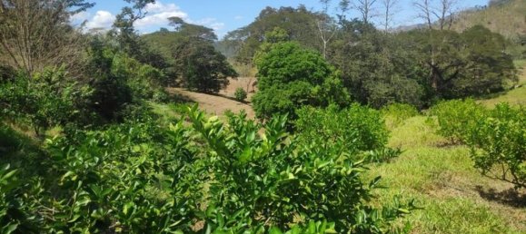 Grundstück in Puntarenas, Costa Rica, Nr. 1534 3