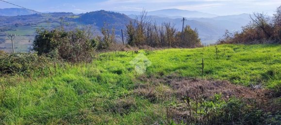 5 rooms House in Avolasca, Italy No. 223359 35