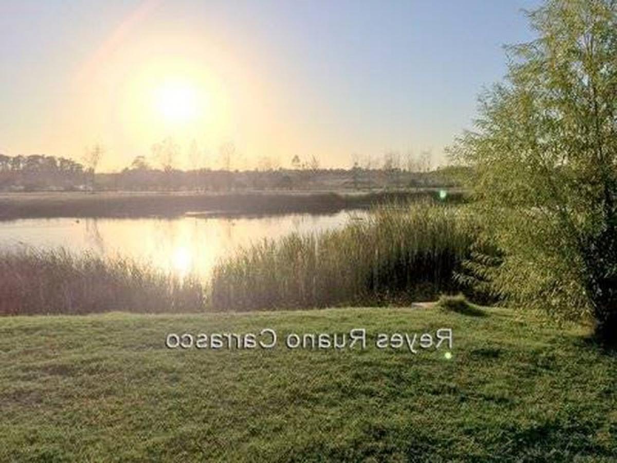 Земельный участок в Канелонес, Уругвай № 14546