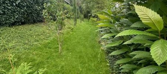 1 bedroom Townhouse in Kusel, Germany No. 127948 10