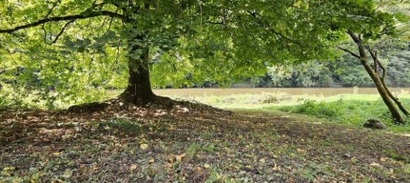 10 rooms House in Les Hautes-Rivieres, France No. 219068 18