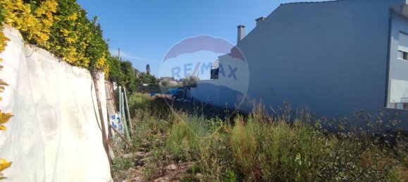 5 bedrooms House in Porto, Portugal No. 184241 6