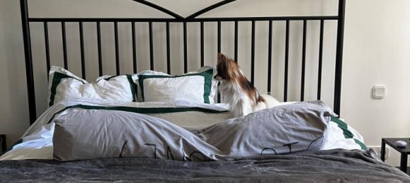 Apartamento de 4 habitaciónes en Neubau, Austria No. 245846 16