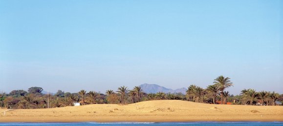 3 Schlafzimmer Wohnung in Guardamar del Segura, Spain, Nr. 8254 17