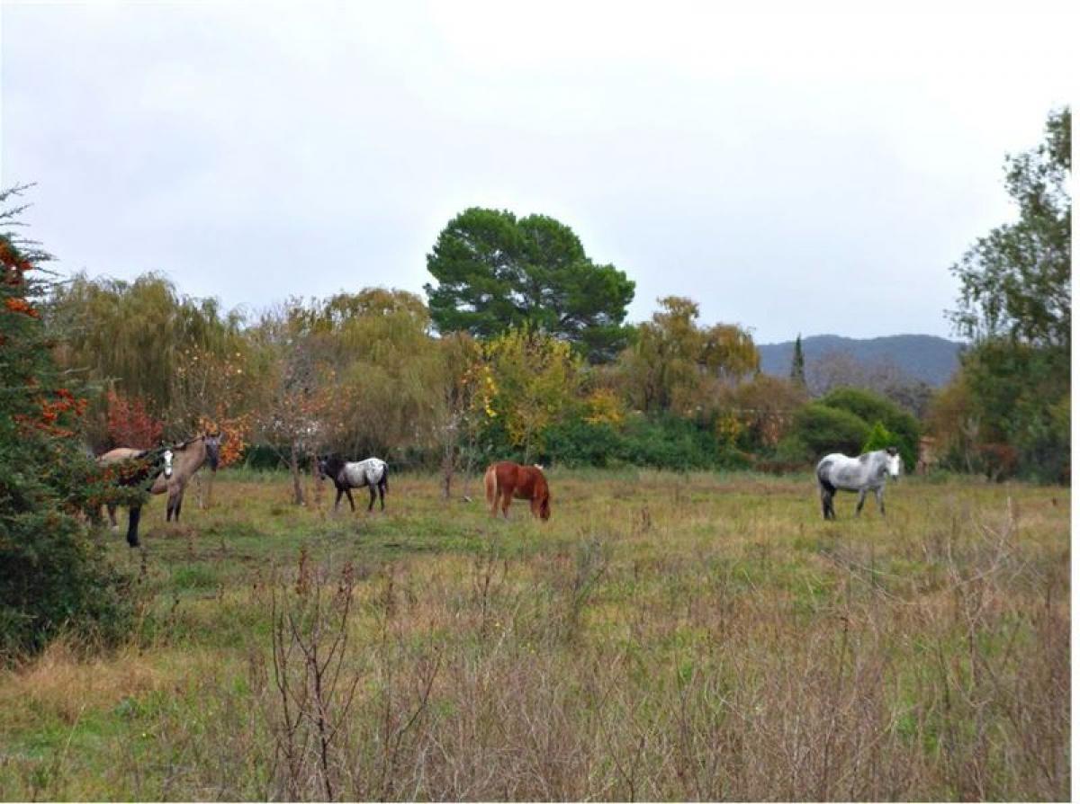 Terrain à Cordoba, Argentina No. 35521