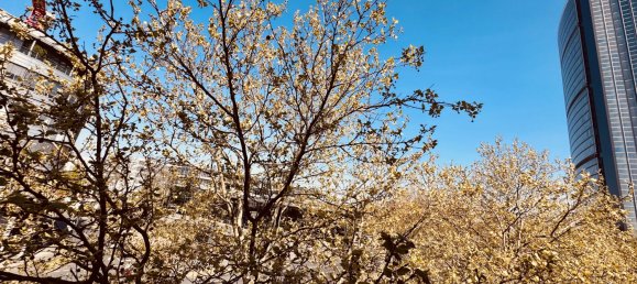 Квартира с 1 спальней в Дюссельдорф, Германия № 282001 12