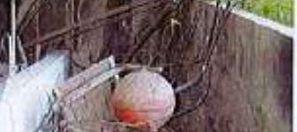 7-Zimmer Wohnung in Taormina, Italy, Nr. 43699 22