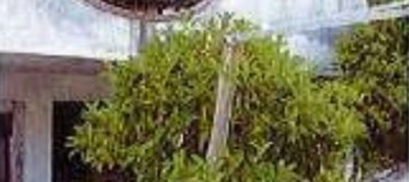 7-Zimmer Wohnung in Taormina, Italy, Nr. 43699 18