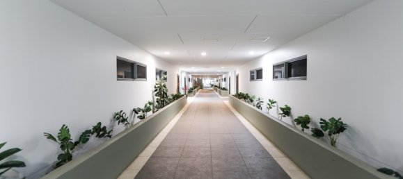 2 bedrooms Apartment in Coconut Grove, Australia No. 579 10