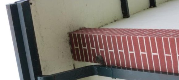 5 bedrooms Villa in Mesola, Italy No. 253403 6