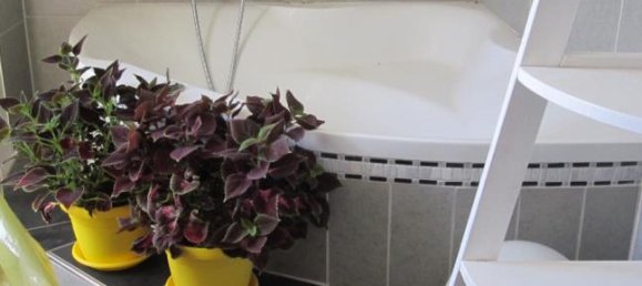 5 bedrooms Villa in Mesola, Italy No. 253403 5