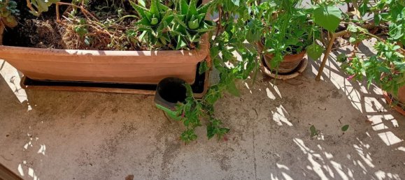 Apartamento T3 em Abbiategrasso, Italy N.º 357933 8