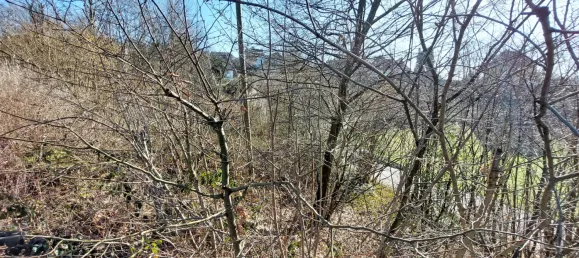  Land in Rhein-Sieg, Germany No. 128972 5