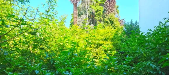 567m² Building in Viana do Castelo, Portugal No. 142991 16