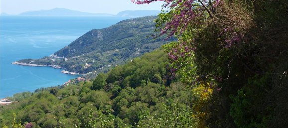 Villa in Mouresi, Greece 383m², Nr. 7572 5
