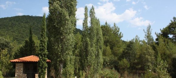 1 bedroom Villa in Chalkidiki, Greece No. 1195 7