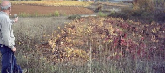 10000m² Land in Leon, Spain No. 68262 6