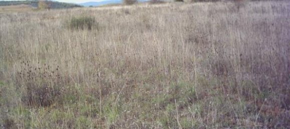 10000m² Land in Leon, Spain No. 68262 3