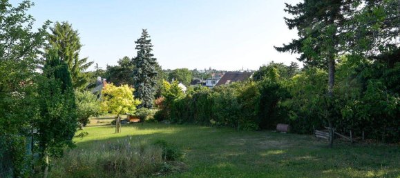 8 rooms House in Dobling, Austria No. 147626 7