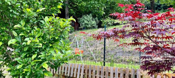 5 rooms House in Savignone, Italy No. 254858 29