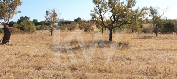 Grundstück in Silves, Portugal 5920m², Nr. 87143 9