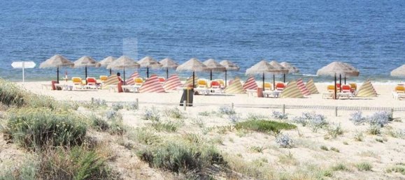 Grundstück in Silves, Portugal 5920m², Nr. 87143 22