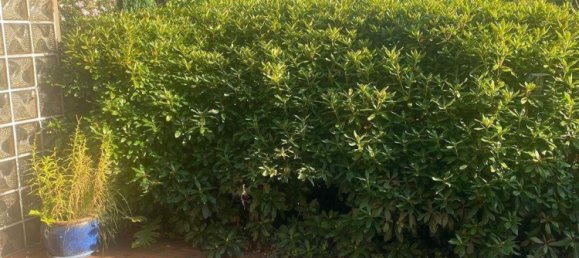 5-Zimmer Stadthaus in Bremen, Germany, Nr. 361892 3