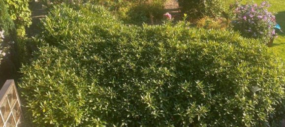 5-Zimmer Stadthaus in Bremen, Germany, Nr. 361892 17