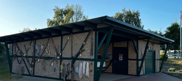 4 غرف نوم منزل في Vorpommern-Greifswald, Germany رقم 291385 12