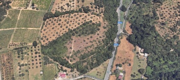 17905m² Land in Sant'Angelo Romano, Italy No. 272488 3