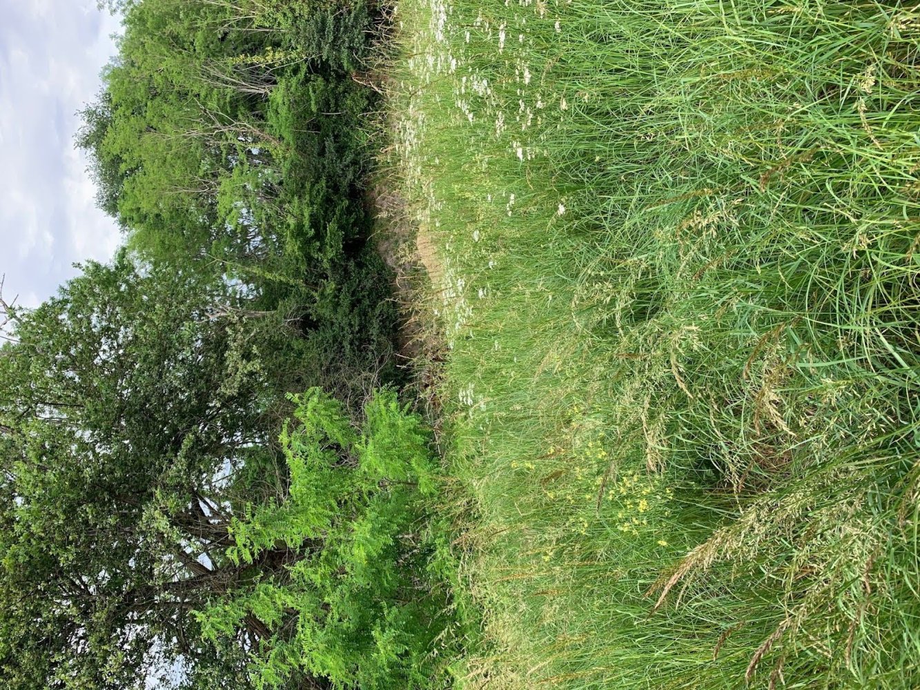 700m² Land in Genissac, France No. 111925