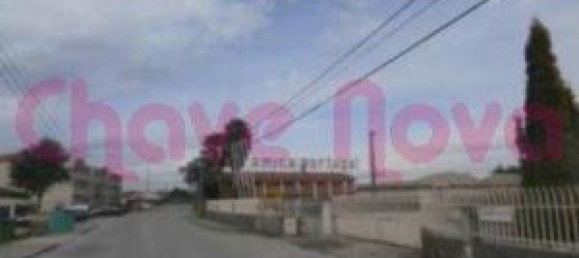 7309m² Building in Oliveira do Bairro, Portugal No. 61752 3