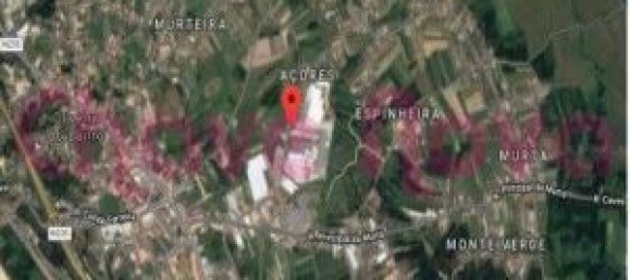 7309m² Building in Oliveira do Bairro, Portugal No. 61752 4