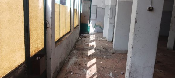 Коммерческая недвижимость 175м² в Оэйраш, Португалия № 69213 15