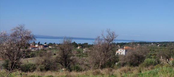 1000m² Hotel in Chalkidiki, Greece No. 4234 8